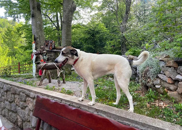 Chalet Kuca Za Odmor 